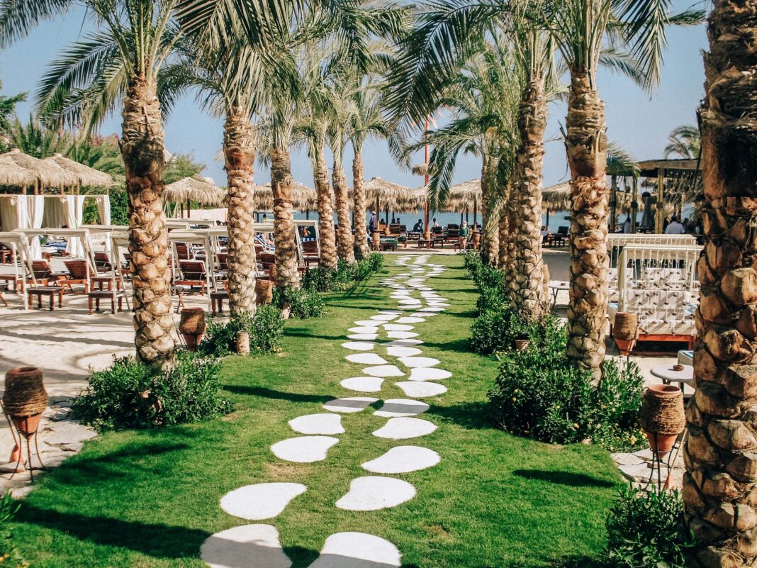 Photo by Vegan Oazïs green grass field with trees and brown concrete building