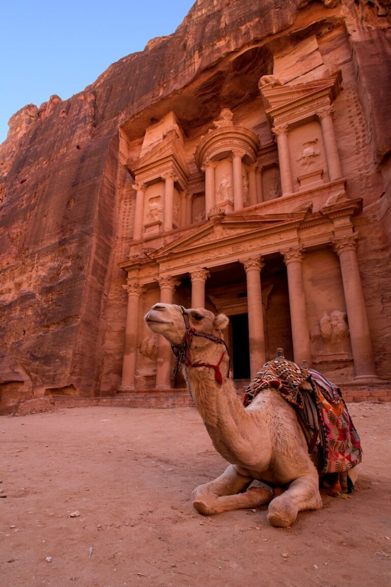 petra jordan putovanje u sopstvenoj organizaciji