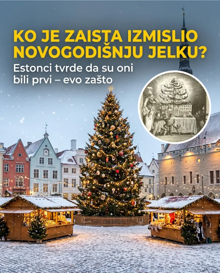 Baltičke tajne: Zašto Estonci tvrde da su oni izmislili novogodišnju jelku