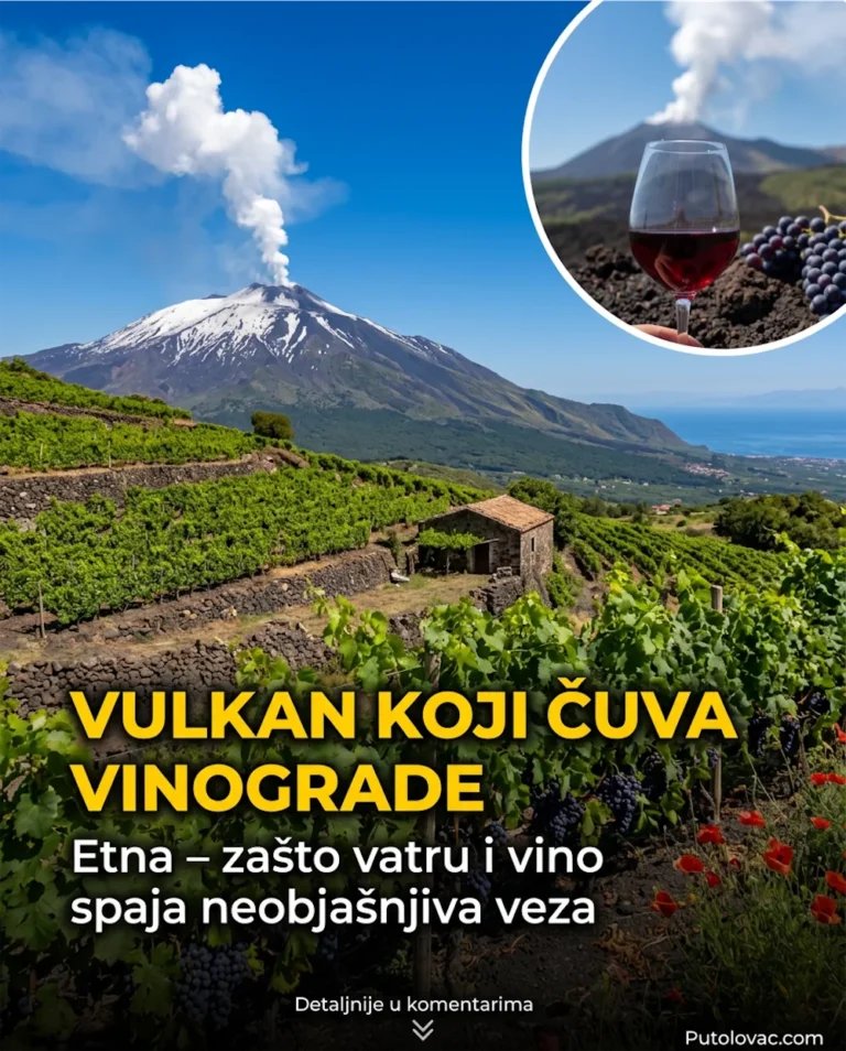 Zanimljivosti o Siciliji: Zašto vulkan Etna zapravo čuva vinograde umjesto da ih uništava