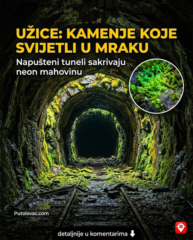 Svijetleći tuneli Đetinje: Neonska magija prirode