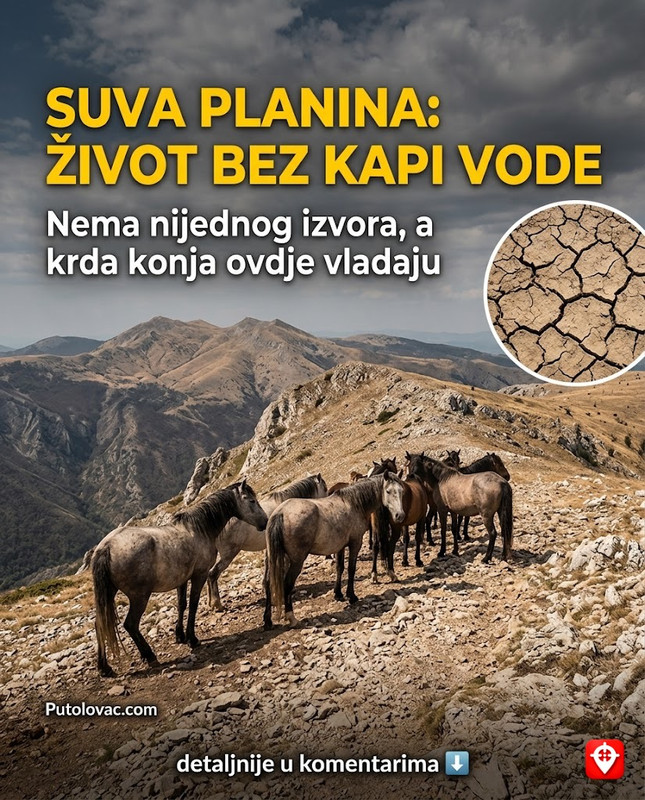 Suva planina: Planina koja umire od žeđi i njeni slobodni vladari