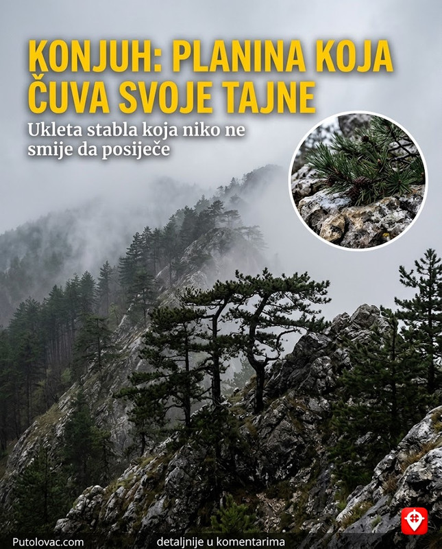 Konjuh: Planina "naopakog" drveta i pećina koje kriju drevne zapise