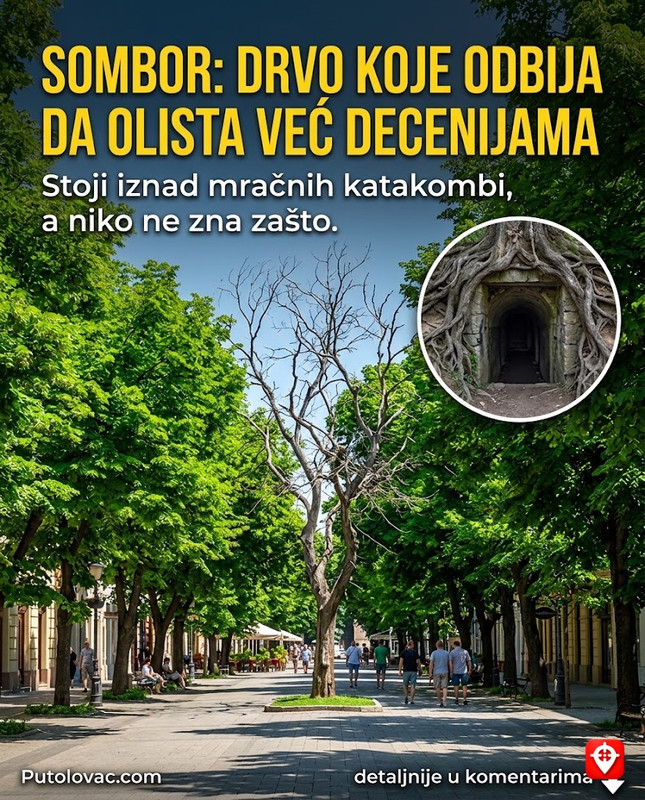Planina Golija: Park prirode gdje snijeg ostaje do juna, ali u samom srcu planine postoji krug gdje trava uvijek gori. – Golija je rezervat biosfere. Fenomen “izgorjele trave” u krugovima na određenim proplancima naučnici objašnjavaju specifičnim gljivama (vilini krugovi) ili isparavanjem gasova, dok mještani vjeruju u natprirodne pojave.