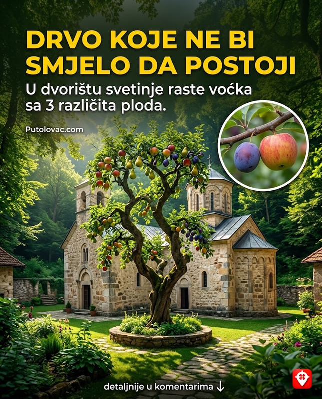 Manastir Gomionica: Svetinja gdje je Petar Kočić učio prva slova, ali u dvorištu postoji drvo koje rađa plodove koji ne postoje u prirodi. – Manastir kod Banja Luke. Poznat po bogatoj biblioteci. Drvo o kojem se priča je kalemljena voćka koju su monasi napravili prije više od 100 godina, a koja spaja tri različite vrste voća na jednom stablu.