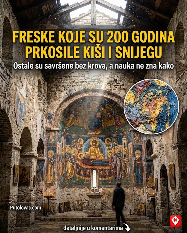Grad Sombor: Mjesto sa najviše zelenila, ali jedno drvo u centru grada odbija da olista već decenijama, iako je potpuno zdravo. – Sombor je poznat po bođošima (američki koprivić). Postoji jedno stablo koje je botanički fenomen jer ostaje “uspavano” duže od ostalih, što je izazvalo brojne urbane legende o njegovoj povezanosti sa starim gradskim katakombama.