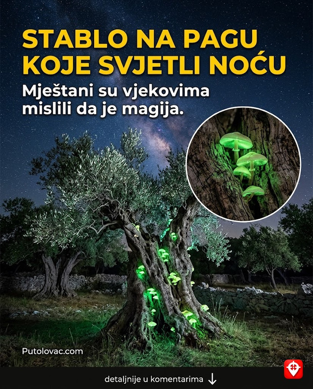 Tvrđava Nehaj: Kula iz koje su uskoci prkosili cijelom svijetu, ali unutra postoji bunar u koji ako baciš novčić, nikada ne čuješ pad. – Kula u Senju građena 1558. godine. Unutrašnji bunar je zapravo bio ventilacioni otvor i sistem za komunikaciju između spratova, ali i tajni izlaz koji je vodio do pećina na obali mora.