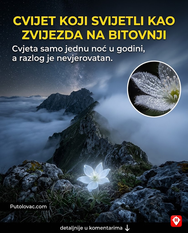 Planina Bitovnja: Mjesto gdje se sudaraju dvije klime, ali na samoj liniji sudara postoji cvijet koji cvjeta samo jednu noć u godini i sija kao zvijezda. - Bitovnja je razvođe između Jadranskog i Crnomorskog sliva. Fenomen "svjetlećeg cvijeta" je povezan sa rijetkom vrstom planinskog bilja koje ima polen koji reflektuje svjetlost mjesečine.