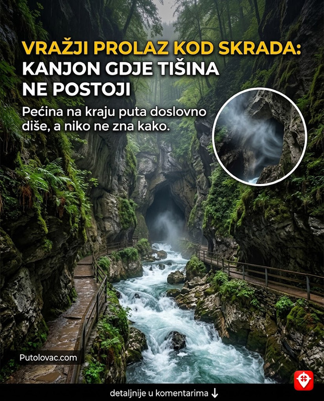 Ostrvo Pag: Maslinici stari 2000 godina gdje svako stablo ima svoj karakter, ali jedno od njih svake noći ispušta svjetlost. – Lunjski maslinici sadrže preko 80.000 stabala divlje masline. Neka su starija od 1600 godina. “Svjetlost” koju mještani spominju je zapravo bioluminiscencija specifičnih gljiva koje rastu na staroj kori drveta.
