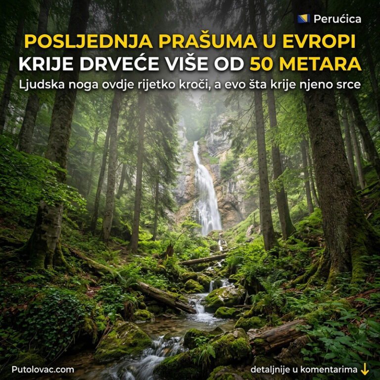OVO JE POSLEDNJA PRAŠUMA U EVROPI! Mesto gde drveće raste preko 50 metara, a ulaz je strogo zabranjen bez jedne stvari! 🌲😱