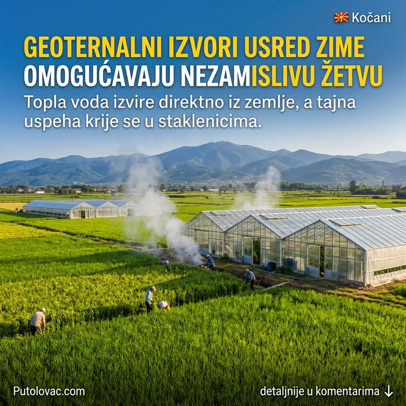 PRKOSI SVIM ZAKONIMA PRIRODE: Kako u ovom gradu uspevaju da uzgajaju pirinač usred zime?! 😱🔥