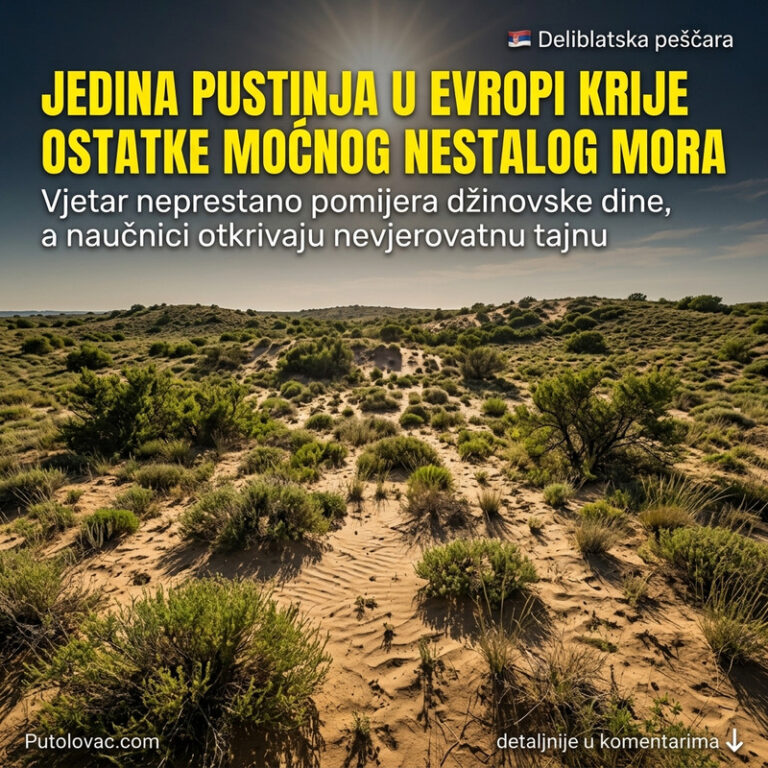 DA LI JE OVO EVROPSKA SAHARA? Srpska pustinja sa dinama koje se neprestano pomeraju krije tajne Panonskog mora! 😱🏜️